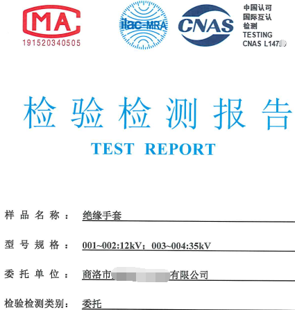 電力安全工器具檢測報告