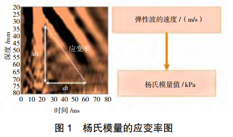 楊氏模量的應(yīng)變率圖